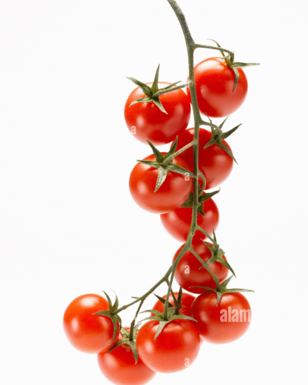 Cherry Tomatos