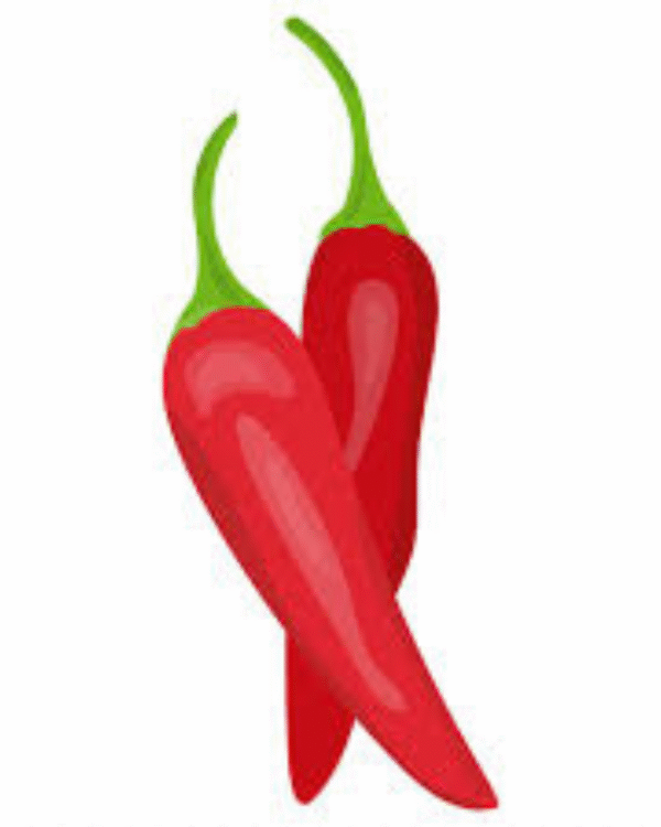 Chilli Pepper(Jalepinos)