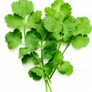 Coriander Leaves