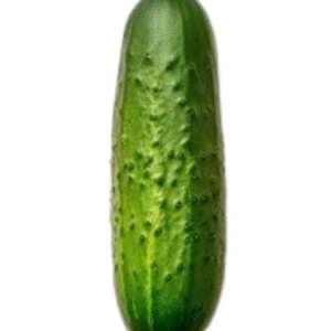 Cucumber