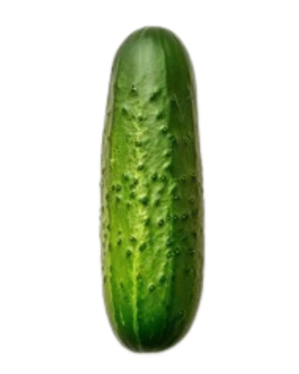 Cucumber