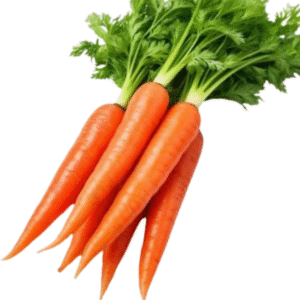 carrot