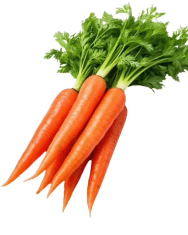 carrot