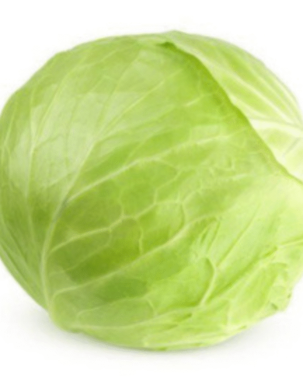cabbage