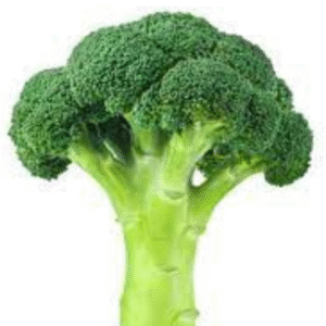 Broccoli