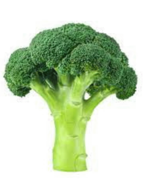 Broccoli