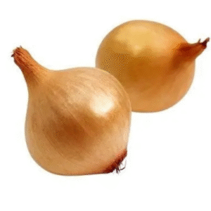 Brown Onion