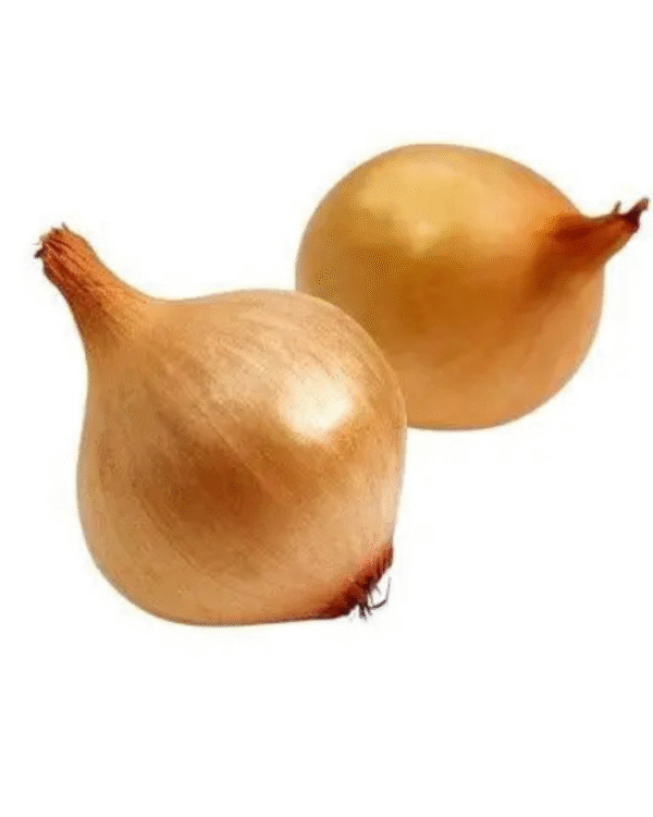 Brown Onion