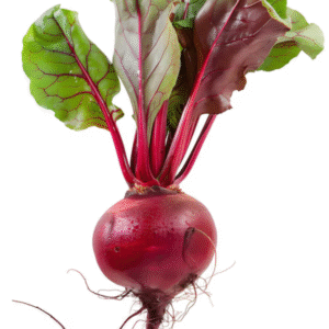 Beet Root