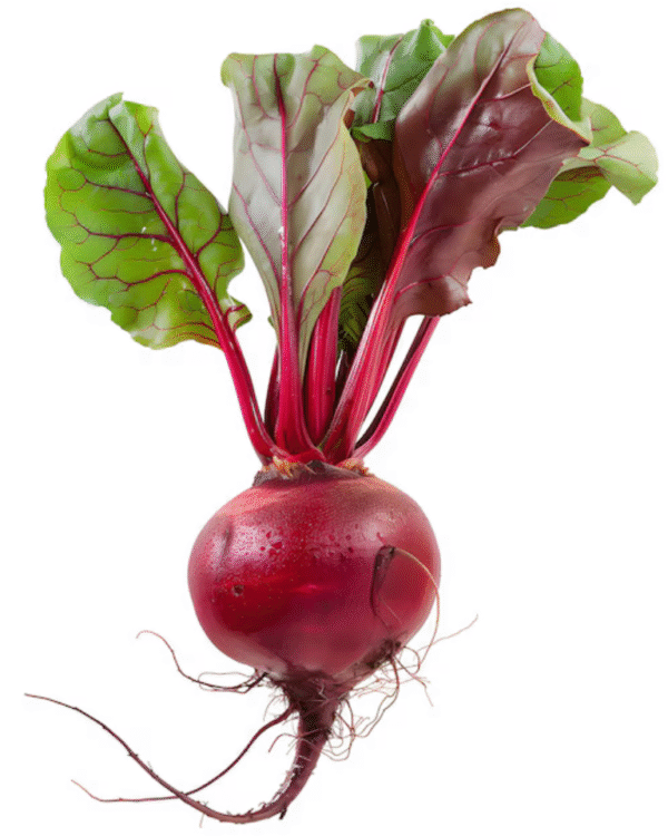Beet Root