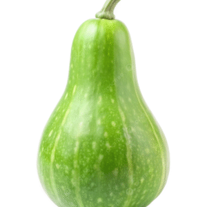 Bottel Gourd