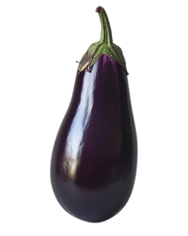 Brinjal dark purple