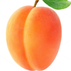 Apricot