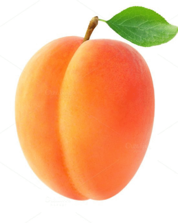 Apricot