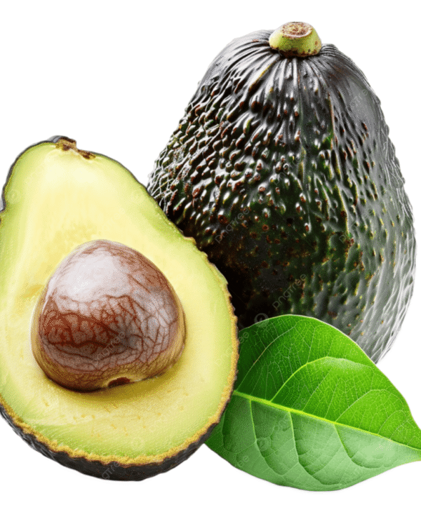 Avocado Hass