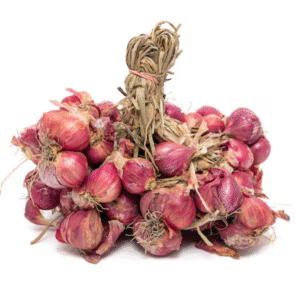 Shallot (small onion)