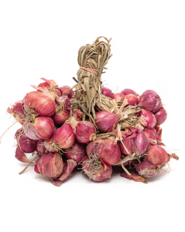 Shallot (small onion)