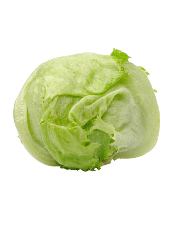 IceBerg