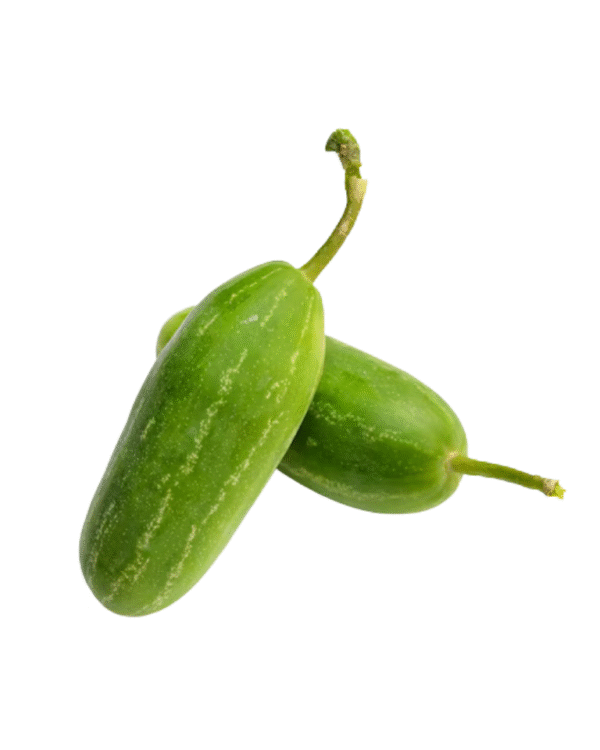 Ivy Gourd