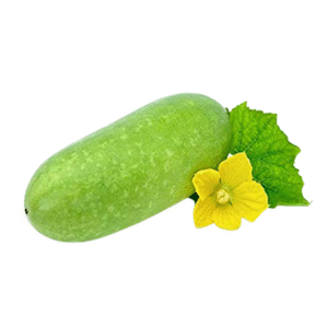Wax Gourd