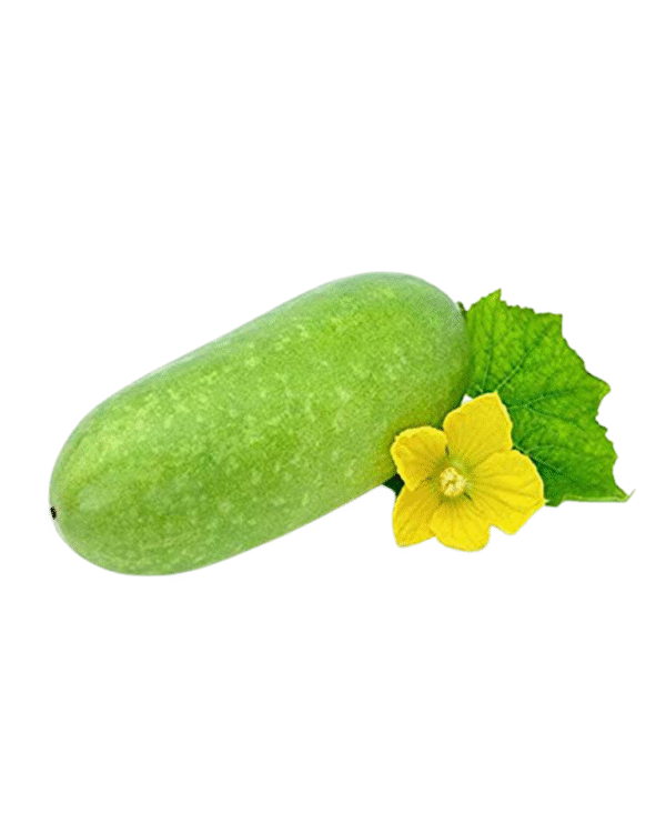 Wax Gourd