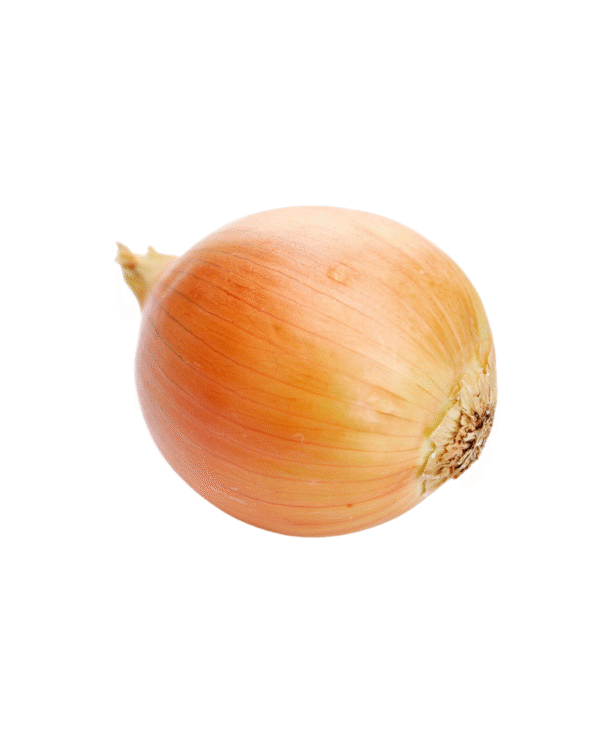 Onion