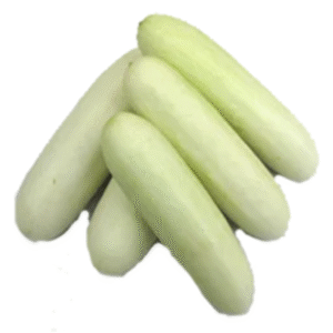 White Cucumber
