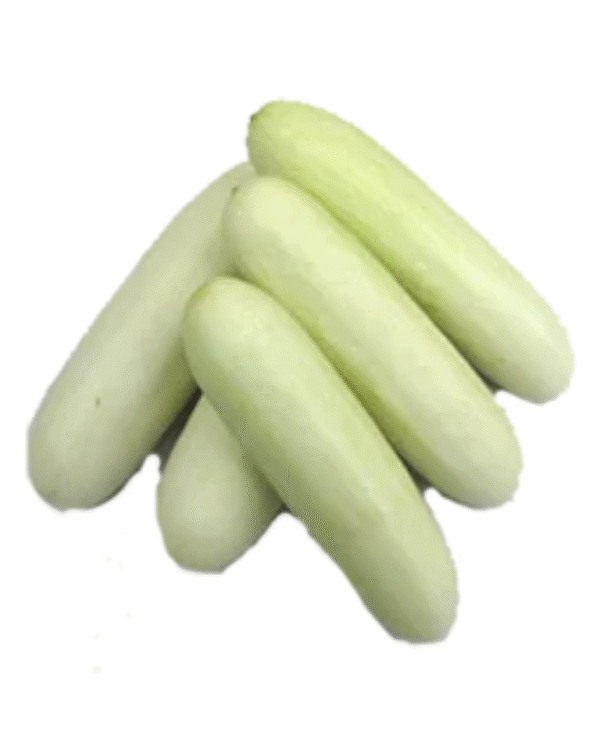 White Cucumber