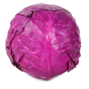 Purple Cabbage