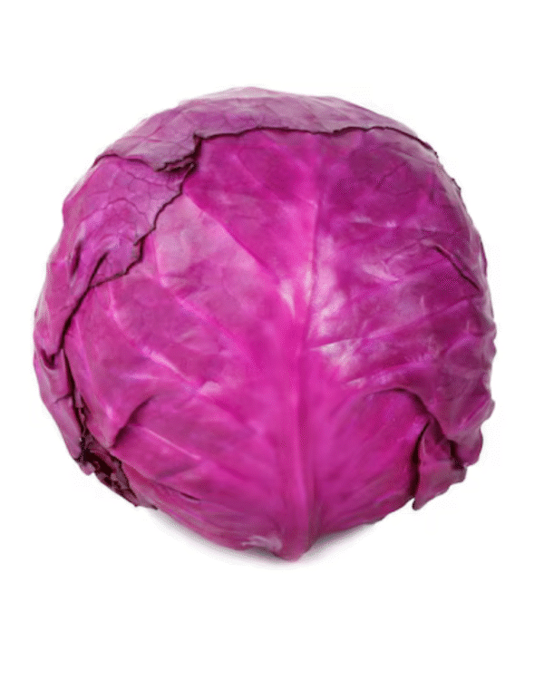 Purple Cabbage
