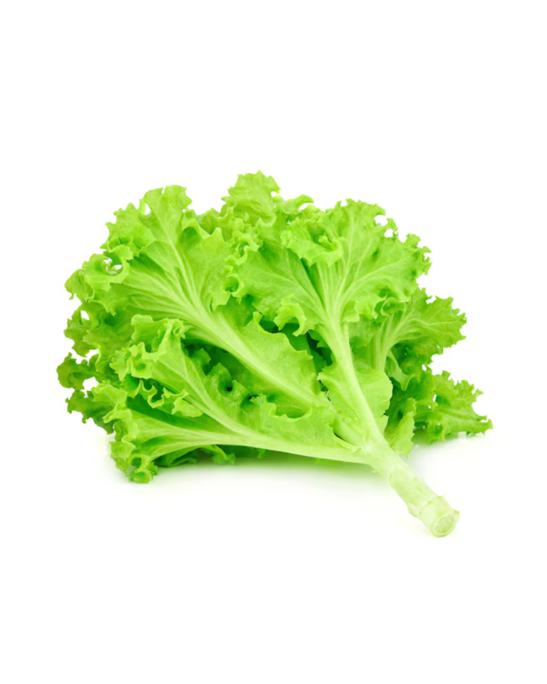 Lettuce
