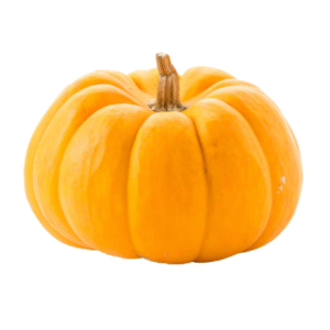 pumkin