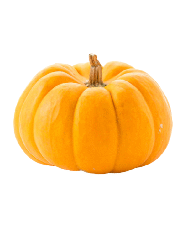 pumkin