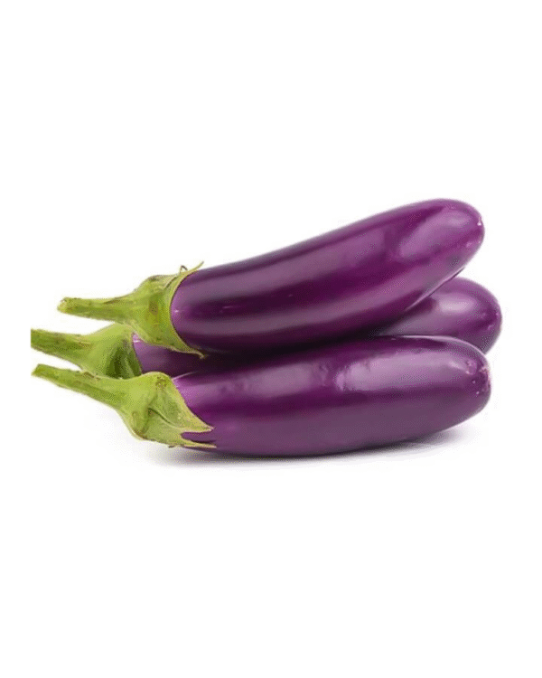 Long Brinjal Purple