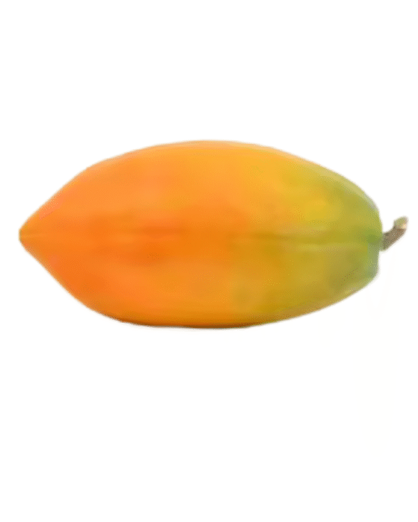 Red Lady Papaya
