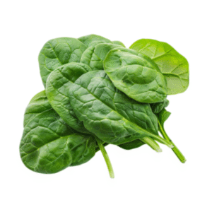 Malabar Spinach