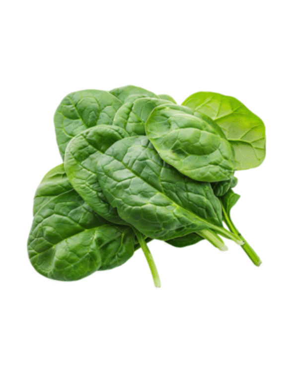Malabar Spinach