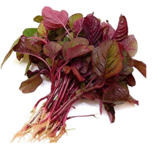 Red Leaves(Lal Saag)