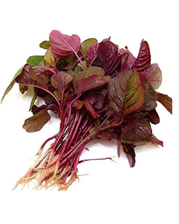 Red Leaves(Lal Saag)