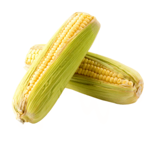 Sweet Corn
