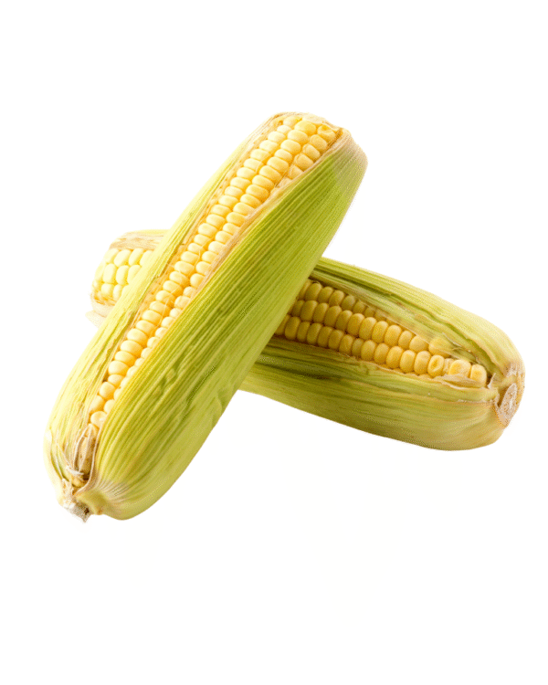 Sweet Corn