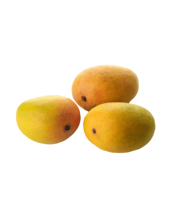 Mango Alphonso
