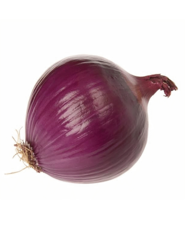 Red Onion (Tabrezi)