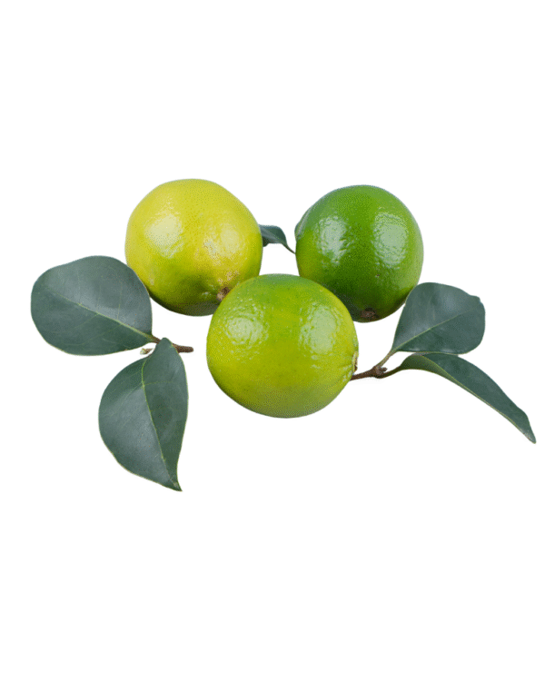 Sweet Lime