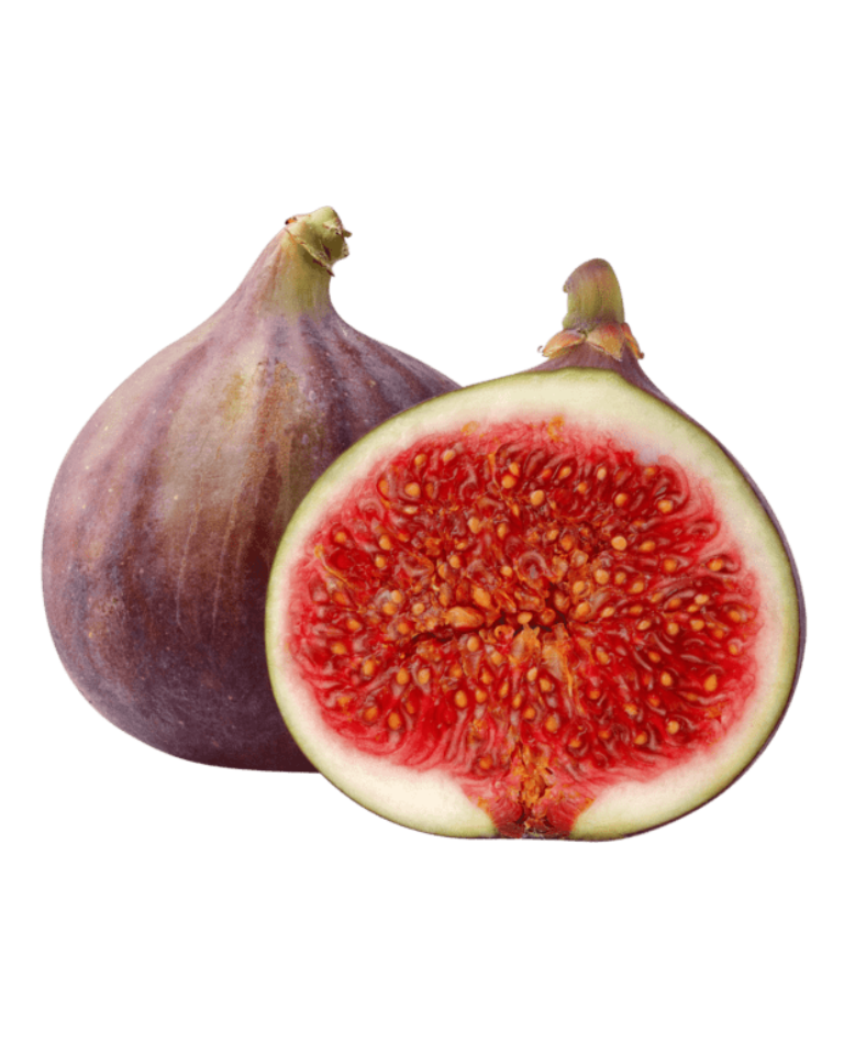 Red Fig