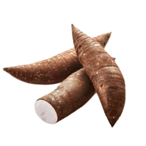Tapioca