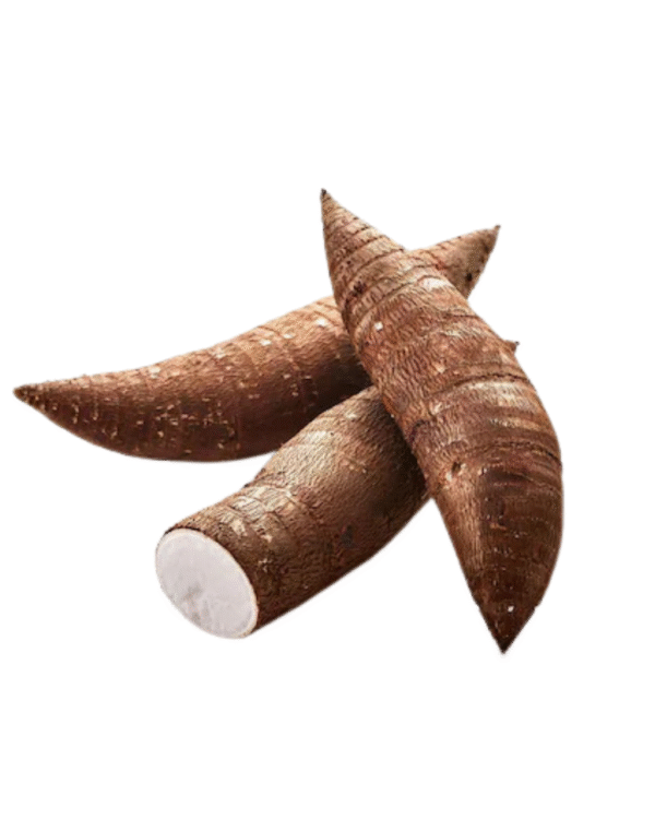 Tapioca