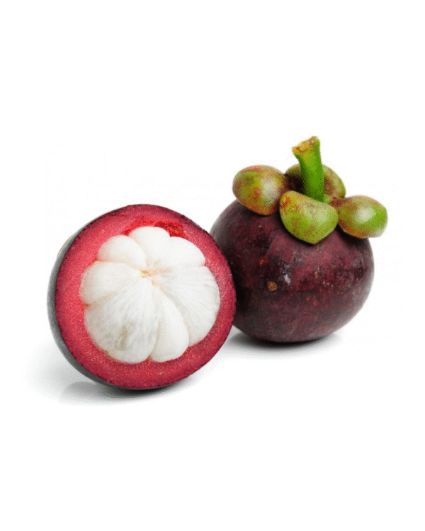 Mangosteen