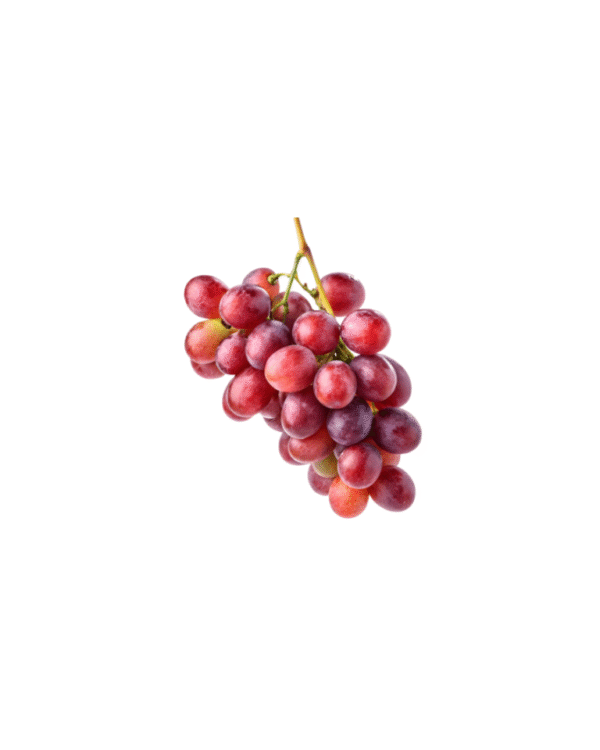 Grapes Globe Seed