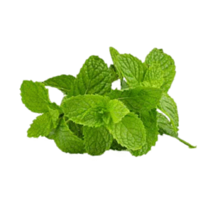 Mint leaves